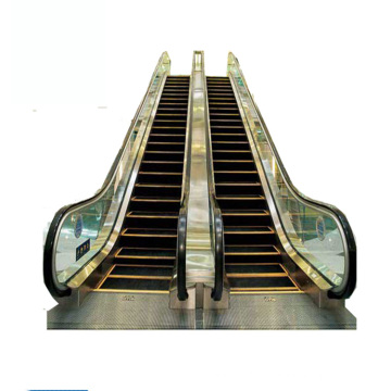 Moving walk elevator/ electric escalator